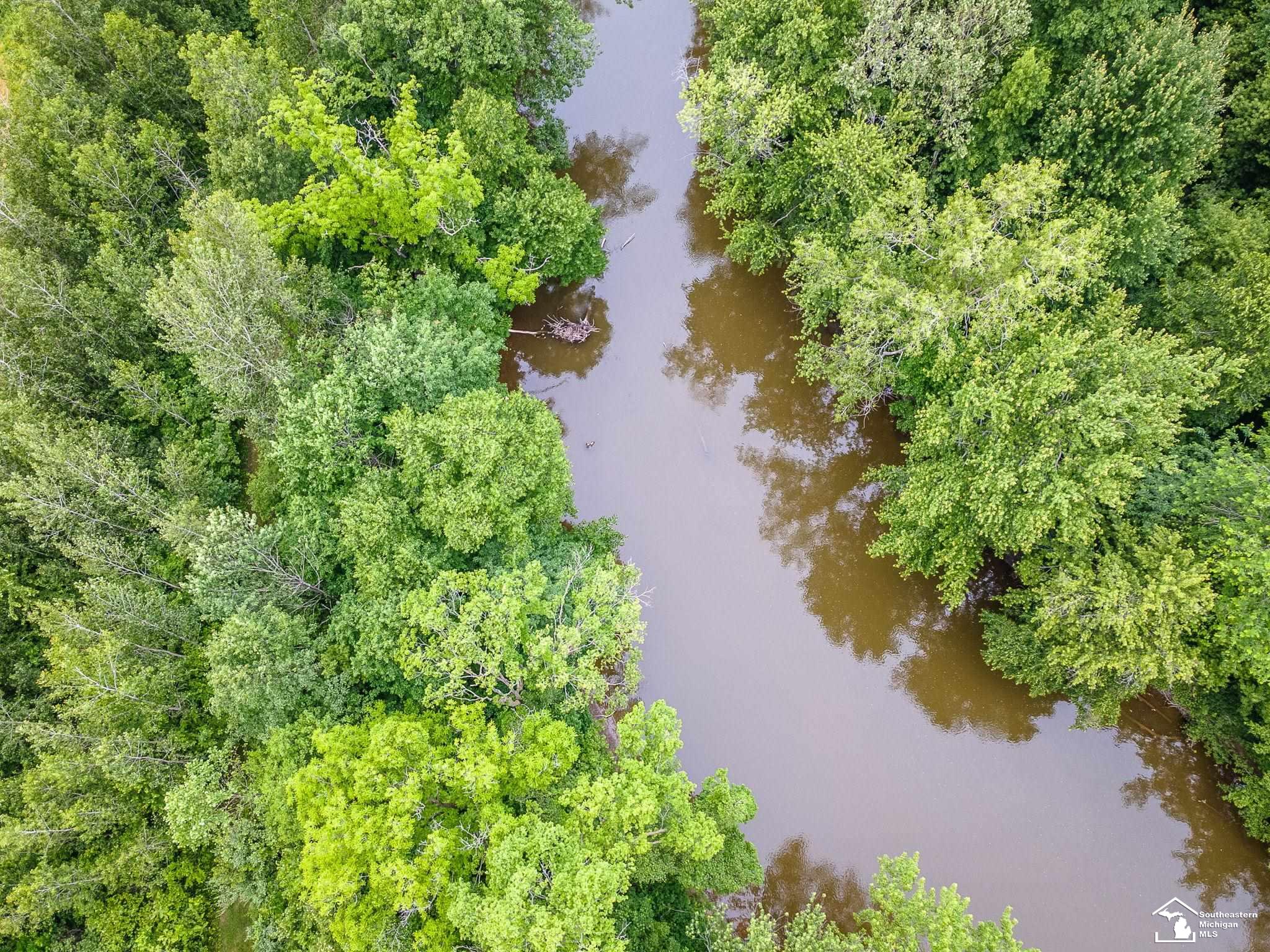 13999 Rightmire Road Dundee, MI 48131 - Photo 15 of 41