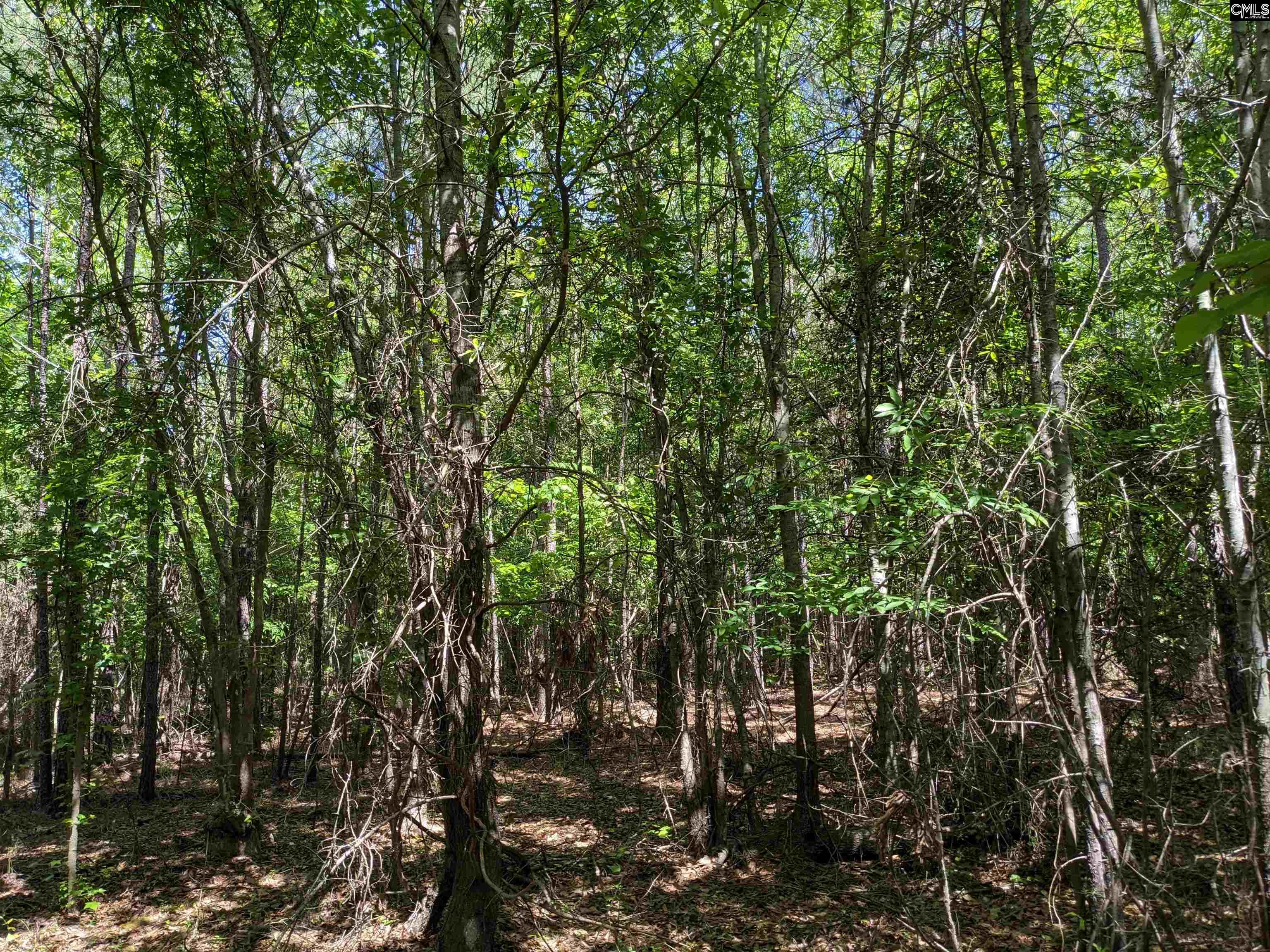 Jewel Drive Ridgeway, SC 29130 - Photo 11 of 20