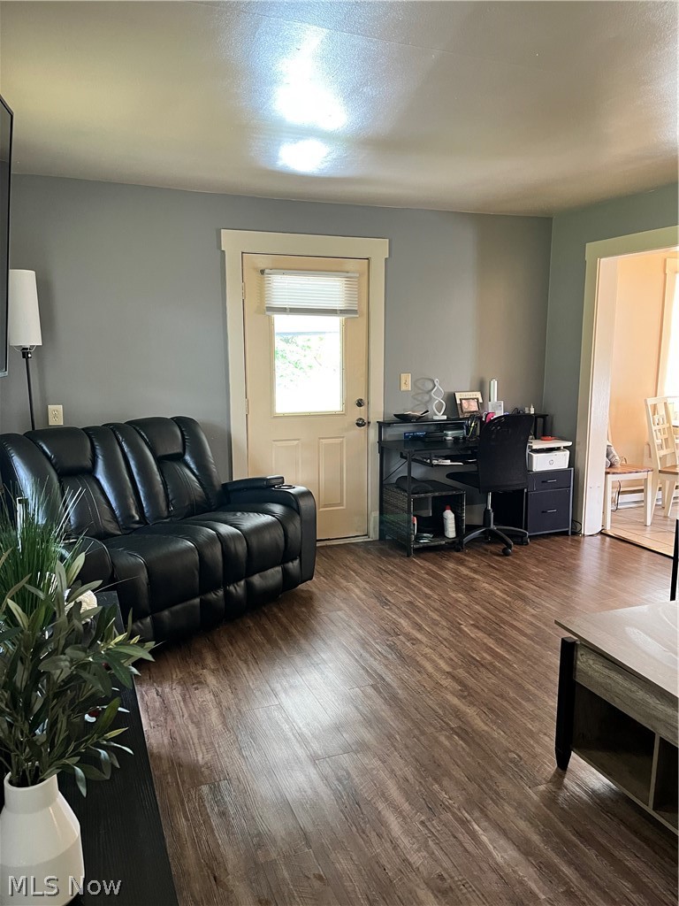175 Wayne Street Rittman, OH 44270 - Photo 6 of 35 Spacious room featuring wood-finish flooring, a light-colored entry door with side window, neutral gray wall paint, and white trim molding
