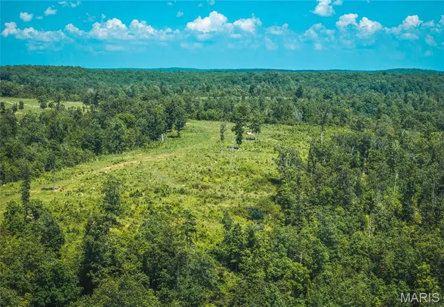 $5,250,000 | 1292 Wayne 528, Wappapello, MO 63966