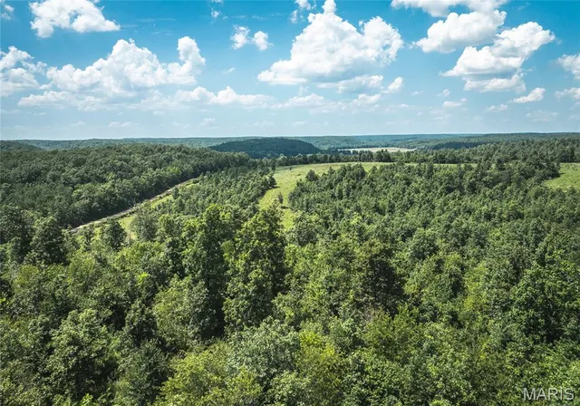 $5,250,000 | 1292 Wayne 528, Wappapello, MO 63966