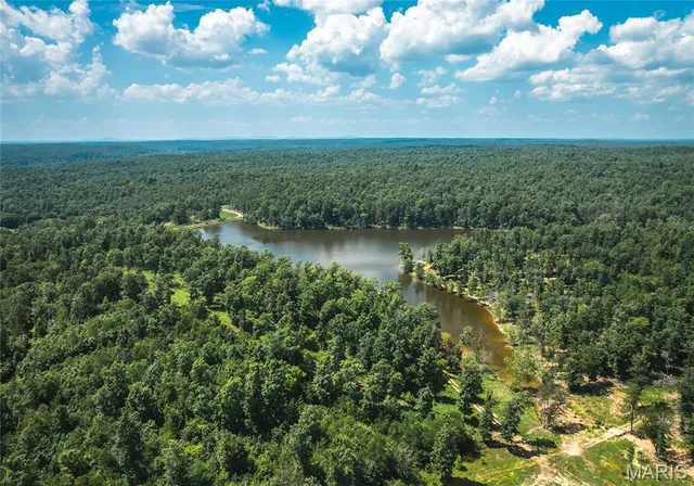 $5,250,000 | 1292 Wayne 528, Wappapello, MO 63966