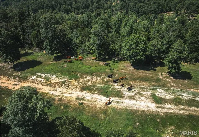 $5,250,000 | 1292 Wayne 528, Wappapello, MO 63966