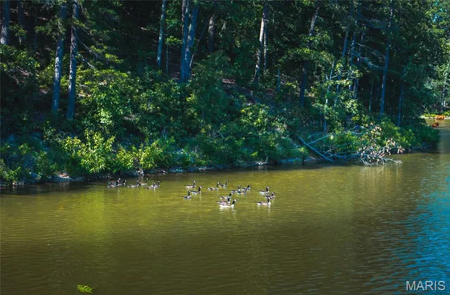 $5,250,000 | 1292 Wayne 528, Wappapello, MO 63966