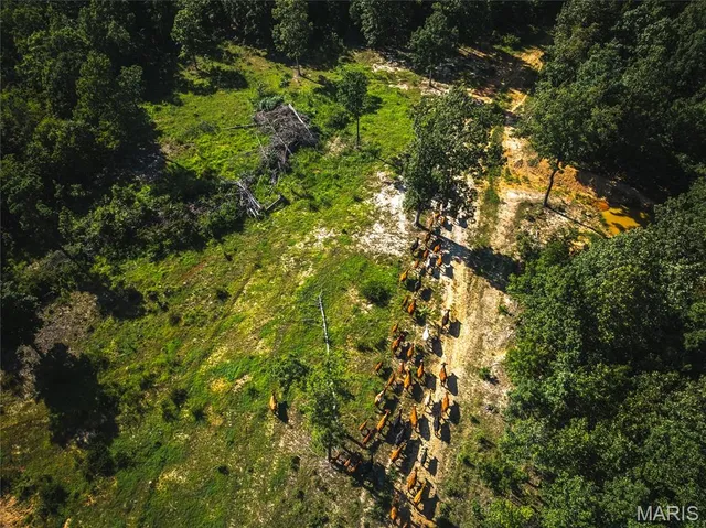 $5,250,000 | 1292 Wayne 528, Wappapello, MO 63966