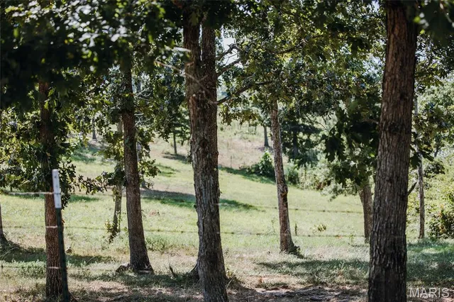 $5,250,000 | 1292 Wayne 528, Wappapello, MO 63966