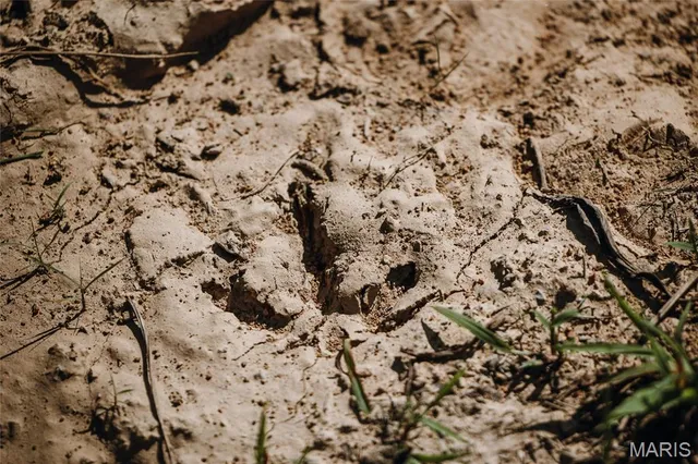 $5,250,000 | 1292 Wayne 528, Wappapello, MO 63966