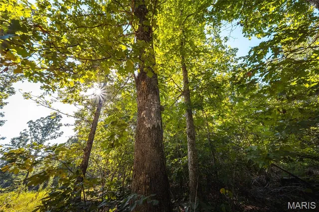 $5,250,000 | 1292 Wayne 528, Wappapello, MO 63966