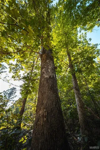 $5,250,000 | 1292 Wayne 528, Wappapello, MO 63966