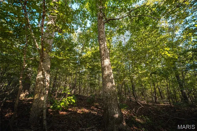 $5,250,000 | 1292 Wayne 528, Wappapello, MO 63966