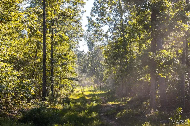 $5,250,000 | 1292 Wayne 528, Wappapello, MO 63966