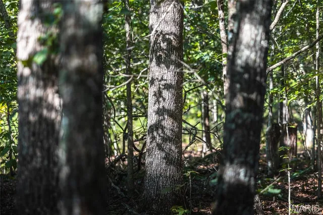 $5,250,000 | 1292 Wayne 528, Wappapello, MO 63966