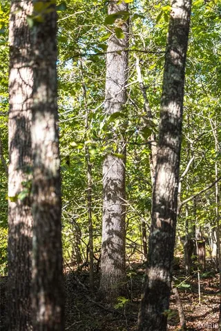 $5,250,000 | 1292 Wayne 528, Wappapello, MO 63966