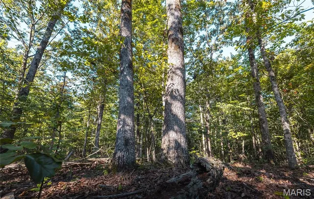 $5,250,000 | 1292 Wayne 528, Wappapello, MO 63966