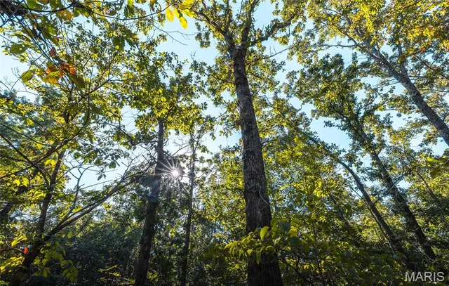 $5,250,000 | 1292 Wayne 528, Wappapello, MO 63966