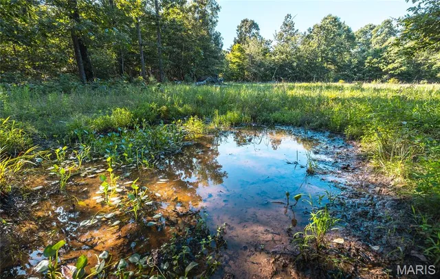 $5,250,000 | 1292 Wayne 528, Wappapello, MO 63966