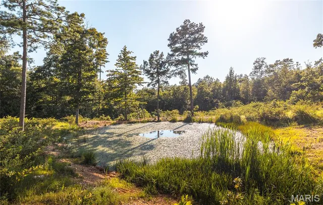 $5,250,000 | 1292 Wayne 528, Wappapello, MO 63966