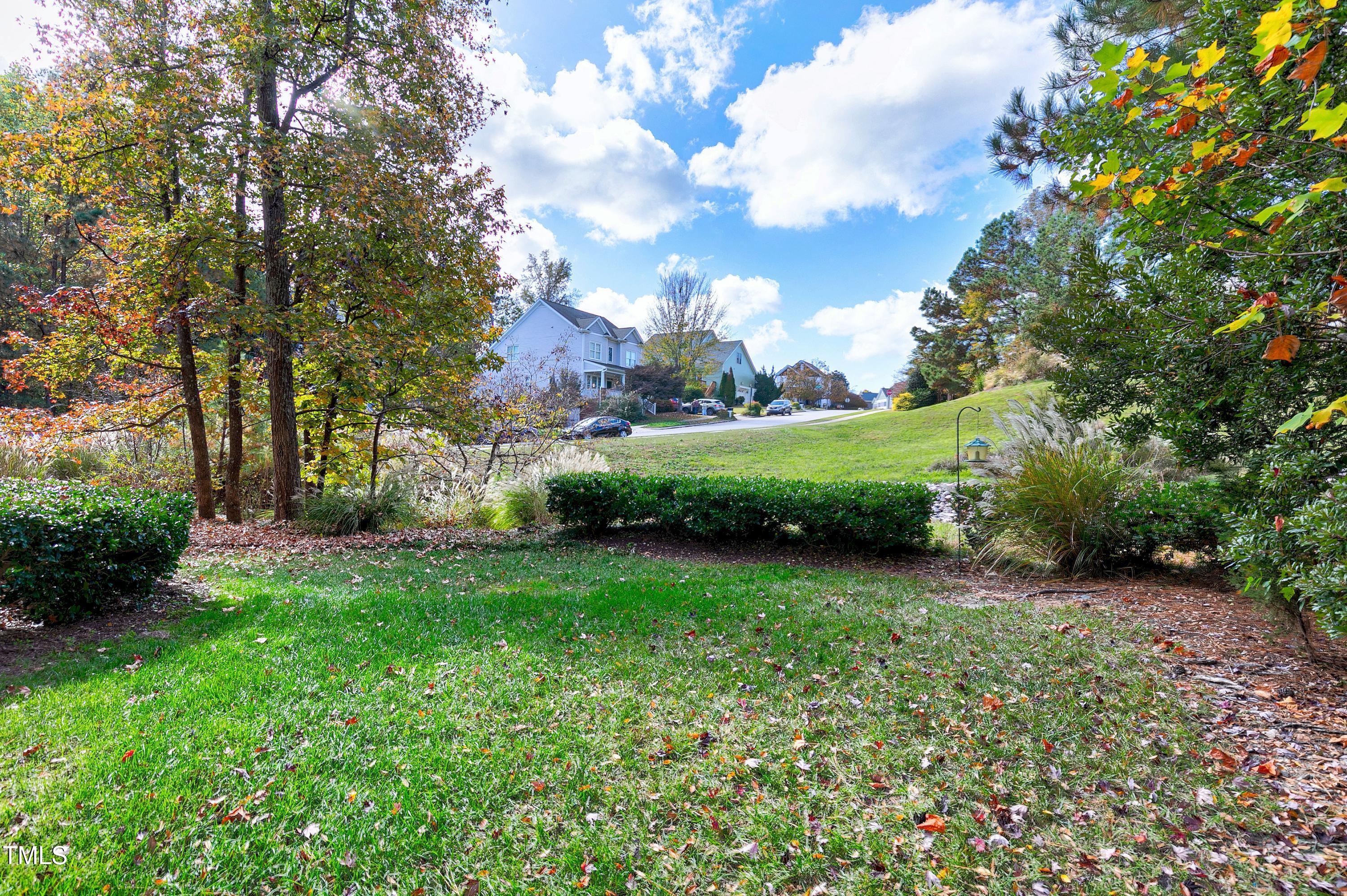 303 Bridgegate Drive Cary, NC 27519 - Photo 8 of 25 a view of a grassy field with plants and trees