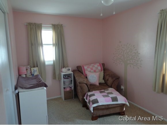 1128 Johnson Lane Springfield, IL 62702 - Photo 11 of 15