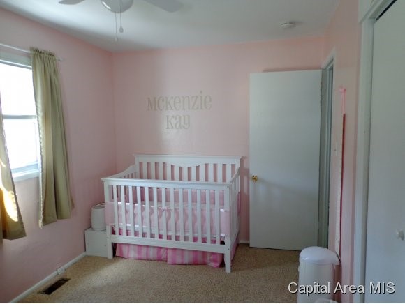 1128 Johnson Lane Springfield, IL 62702 - Photo 12 of 15