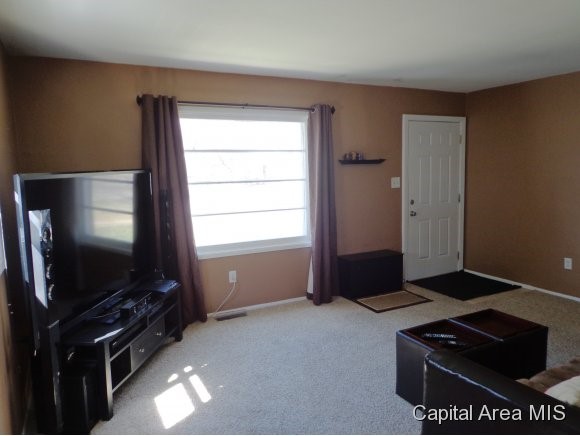 1128 Johnson Lane Springfield, IL 62702 - Photo 4 of 15