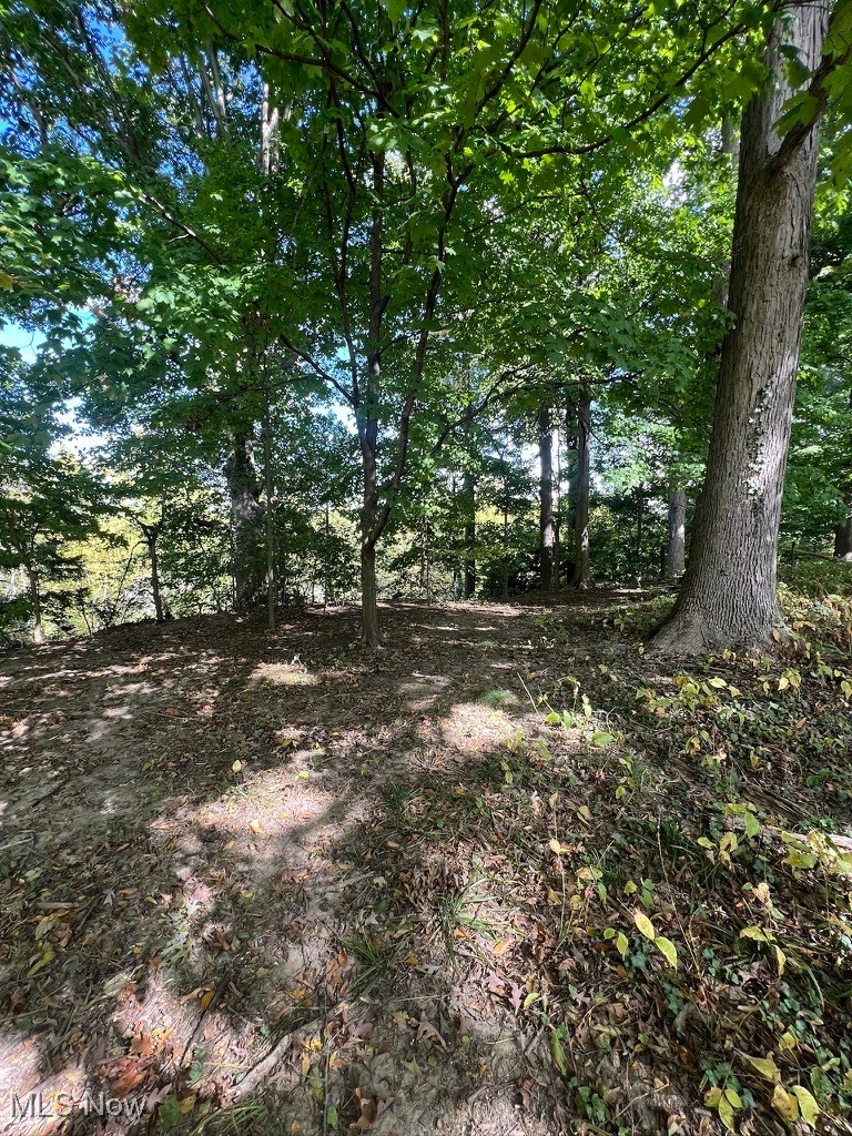 11331 Palmer Road Painesville, OH 44077 - Photo 28 of 47 View of landscape