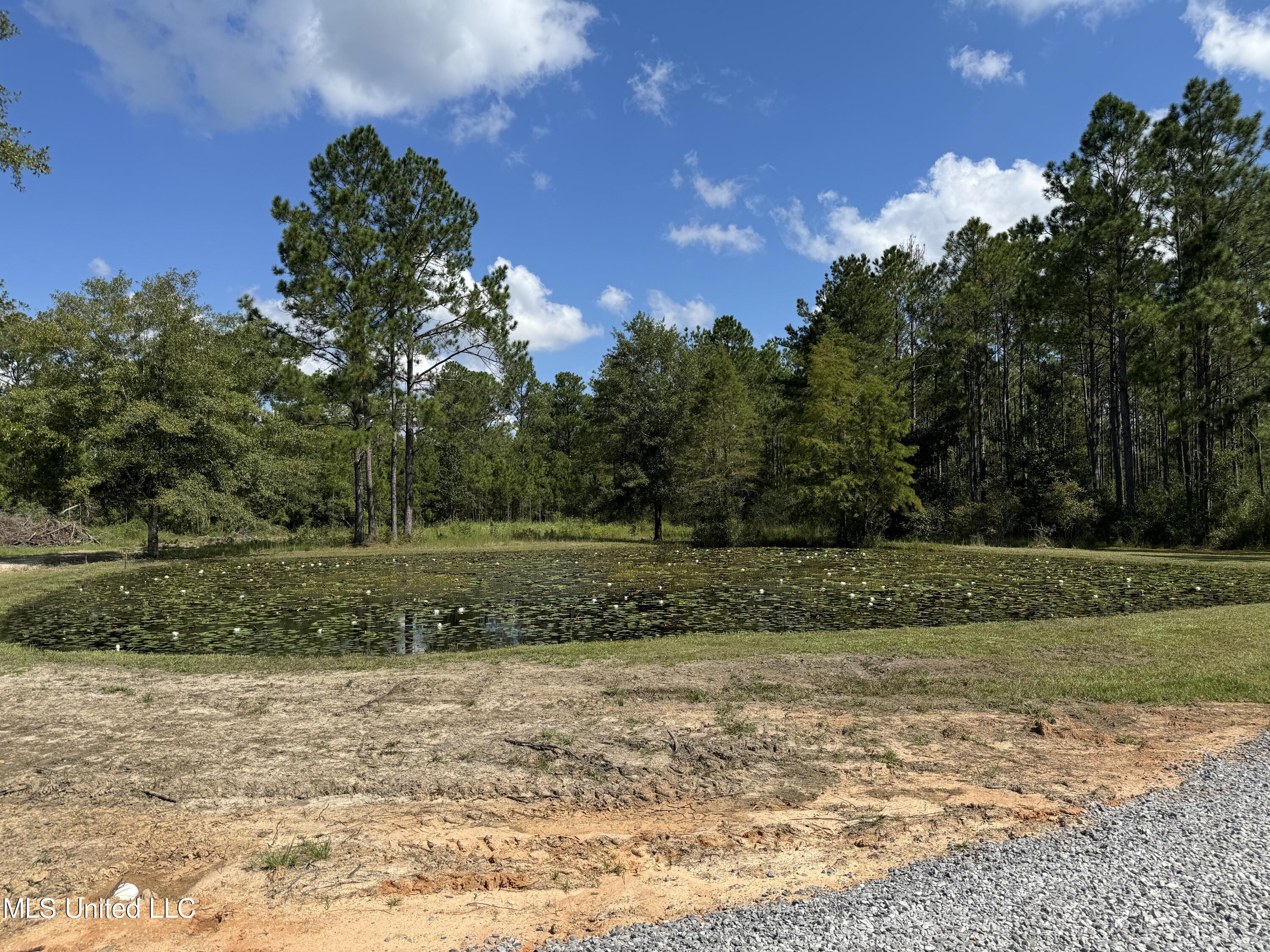 72 Dickerson Road Picayune, MS 39466 - Photo 3 of 30 IMG_4247
