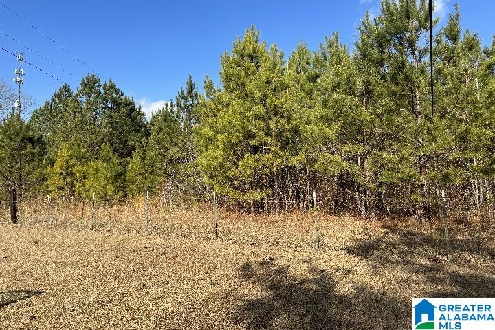 1036 Rushing Springs Road Lincoln, AL 35096 - Photo 2 of 58