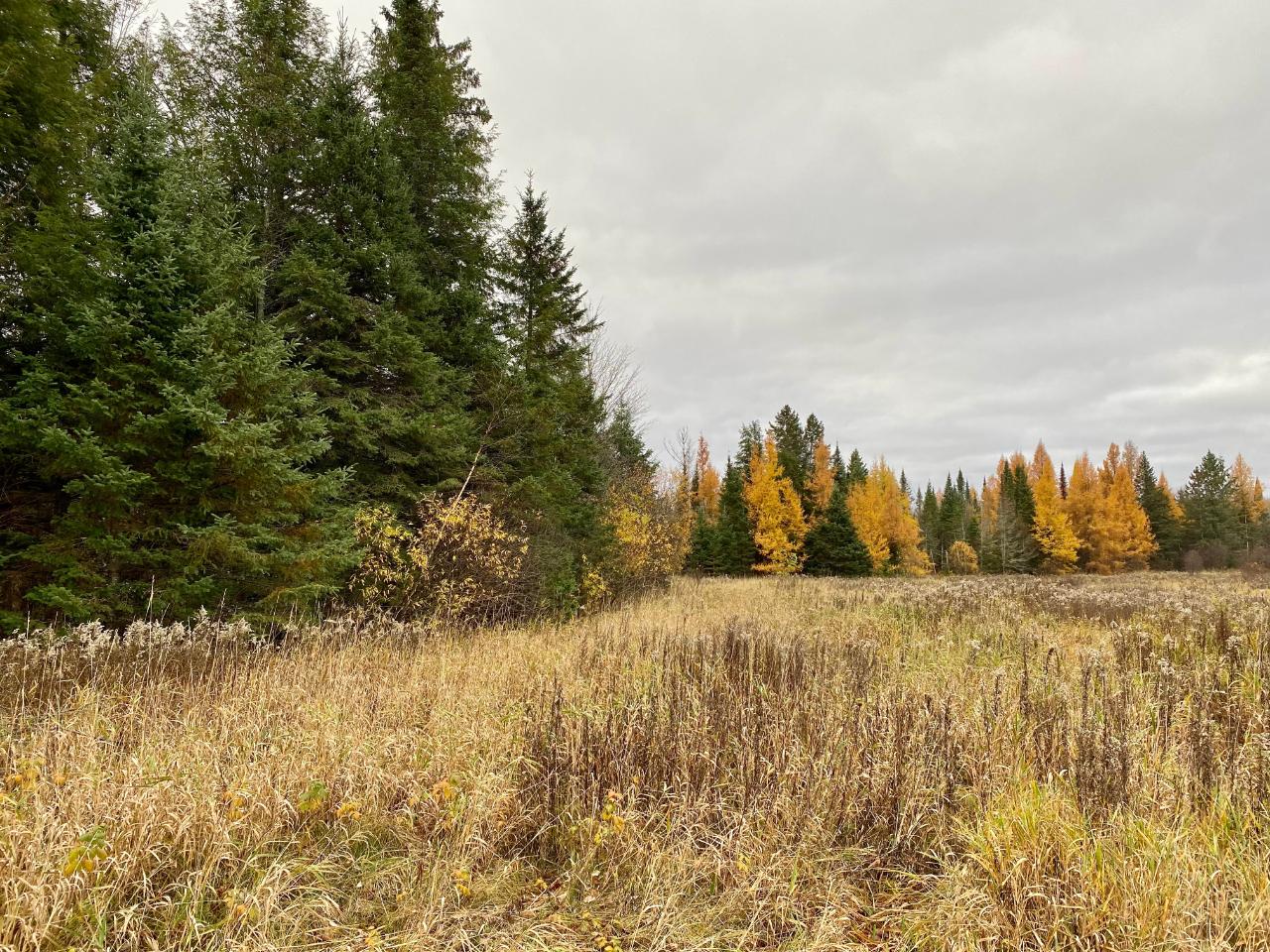 On Bergland Road Ogema, WI 54459 - Photo 1 of 12 Gallery Image 1