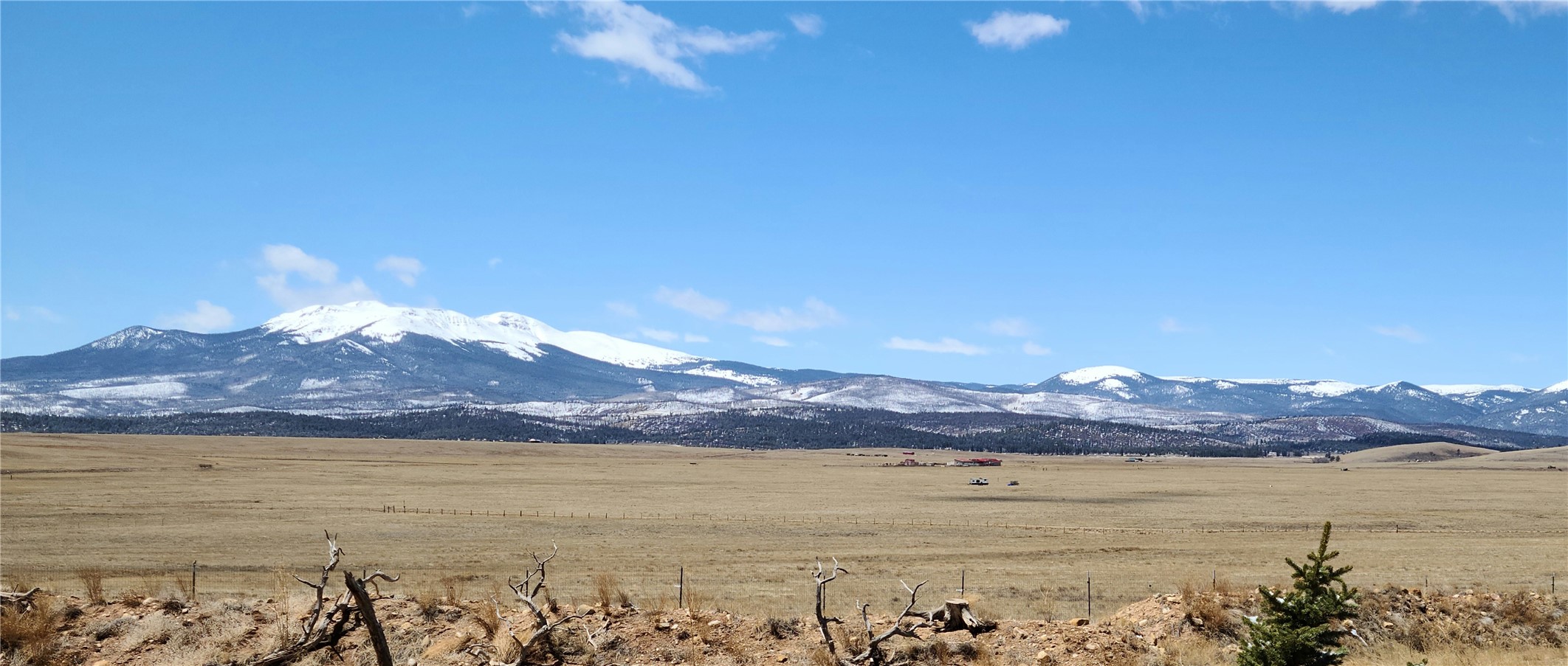 262 Tpra Road Fairplay, CO 80440 - Photo 20 of 26 Gallery Image 20