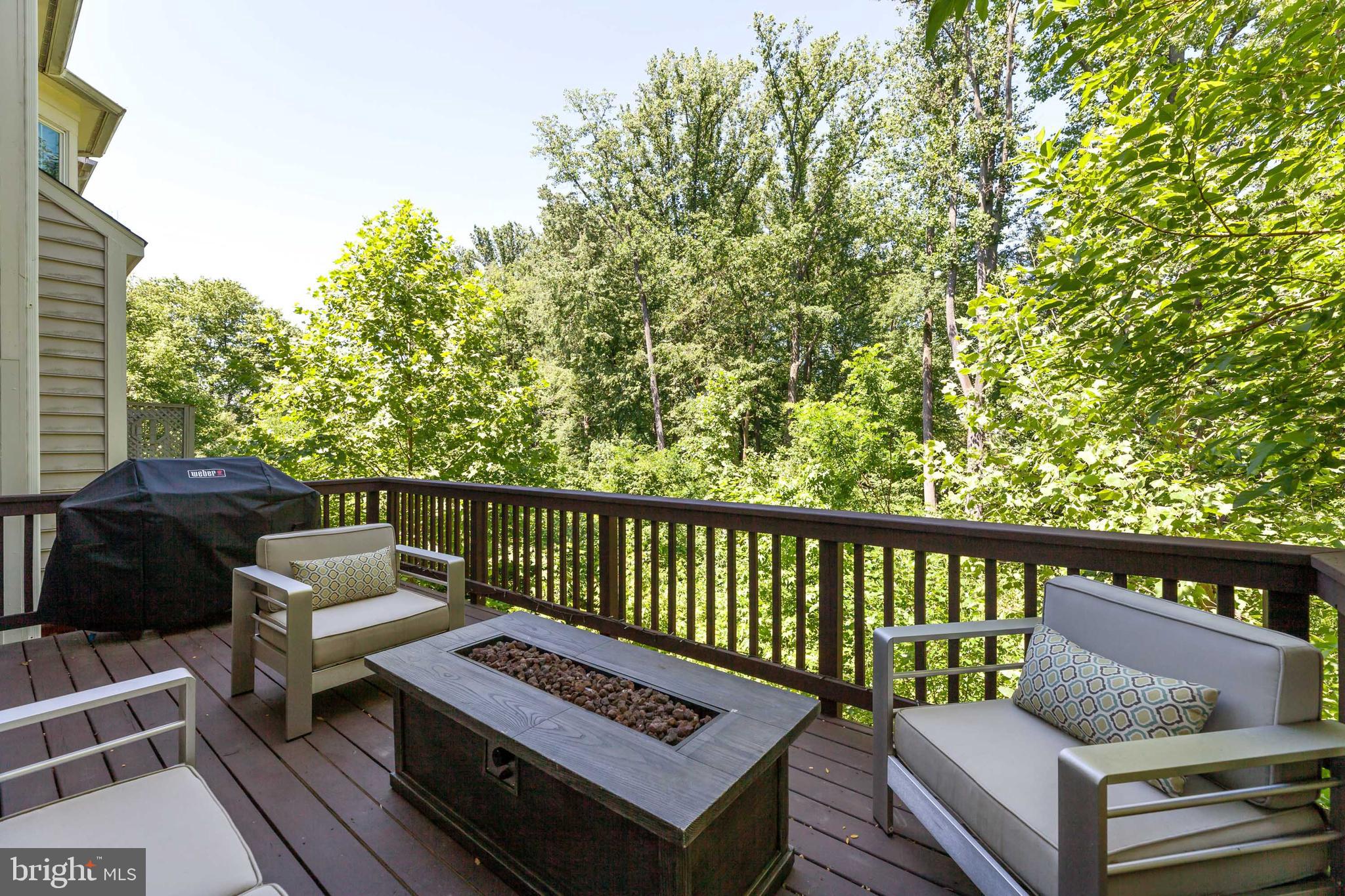 156 Rees Place Falls Church, VA 22046 - Photo 8 of 36