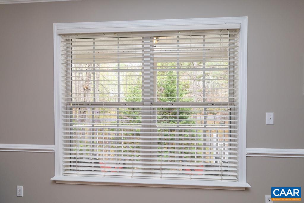 246 White Cedar Road Barboursville, VA 22923 - Photo 19 of 41