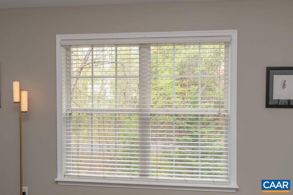 246 White Cedar Road Barboursville, VA 22923 - Photo 29 of 41