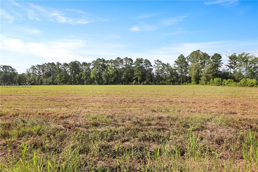 654 Pleasant Hill Road Garnett, SC 29922 - Photo 8 of 12