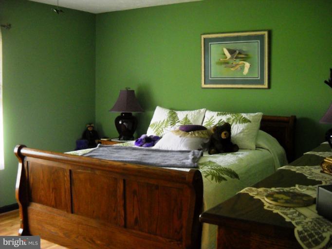 11745 Obannons Mill Road Boston, VA 22713 - Photo 13 of 19 Bedroom (Master)