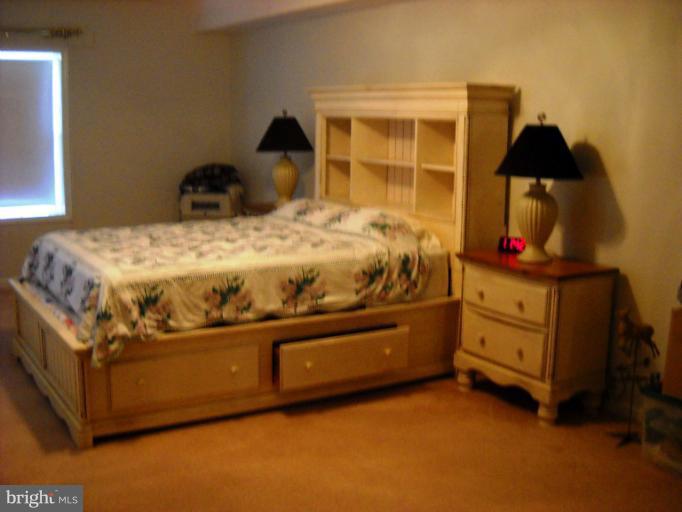 11745 Obannons Mill Road Boston, VA 22713 - Photo 4 of 19 Bedroom