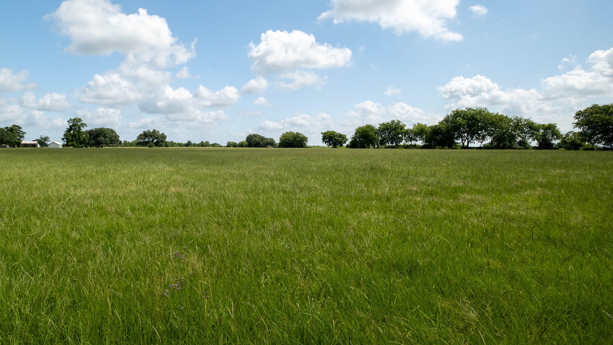 32626 Knebel Road Waller, TX 77484 - Photo 13 of 21 a view of a lake and yard
