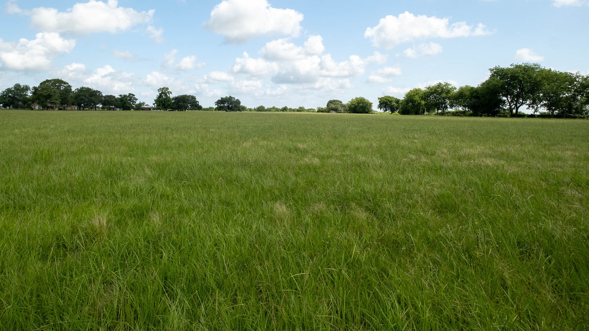 32626 Knebel Road Waller, TX 77484 - Photo 14 of 21 a view of field with trees in the background