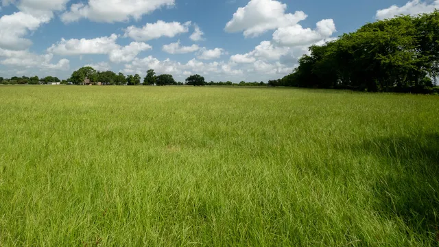 a view of a tennis court