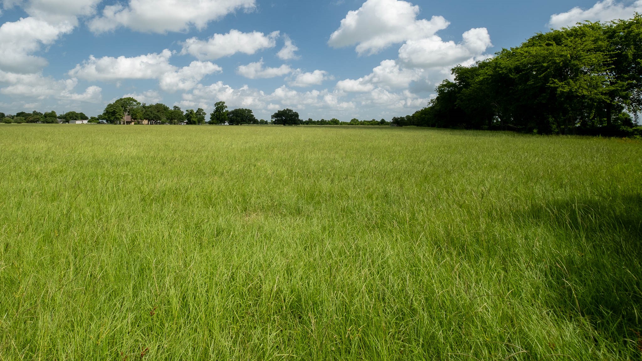 32626 Knebel Road Waller, TX 77484 - Photo 15 of 21 a view of an ocean