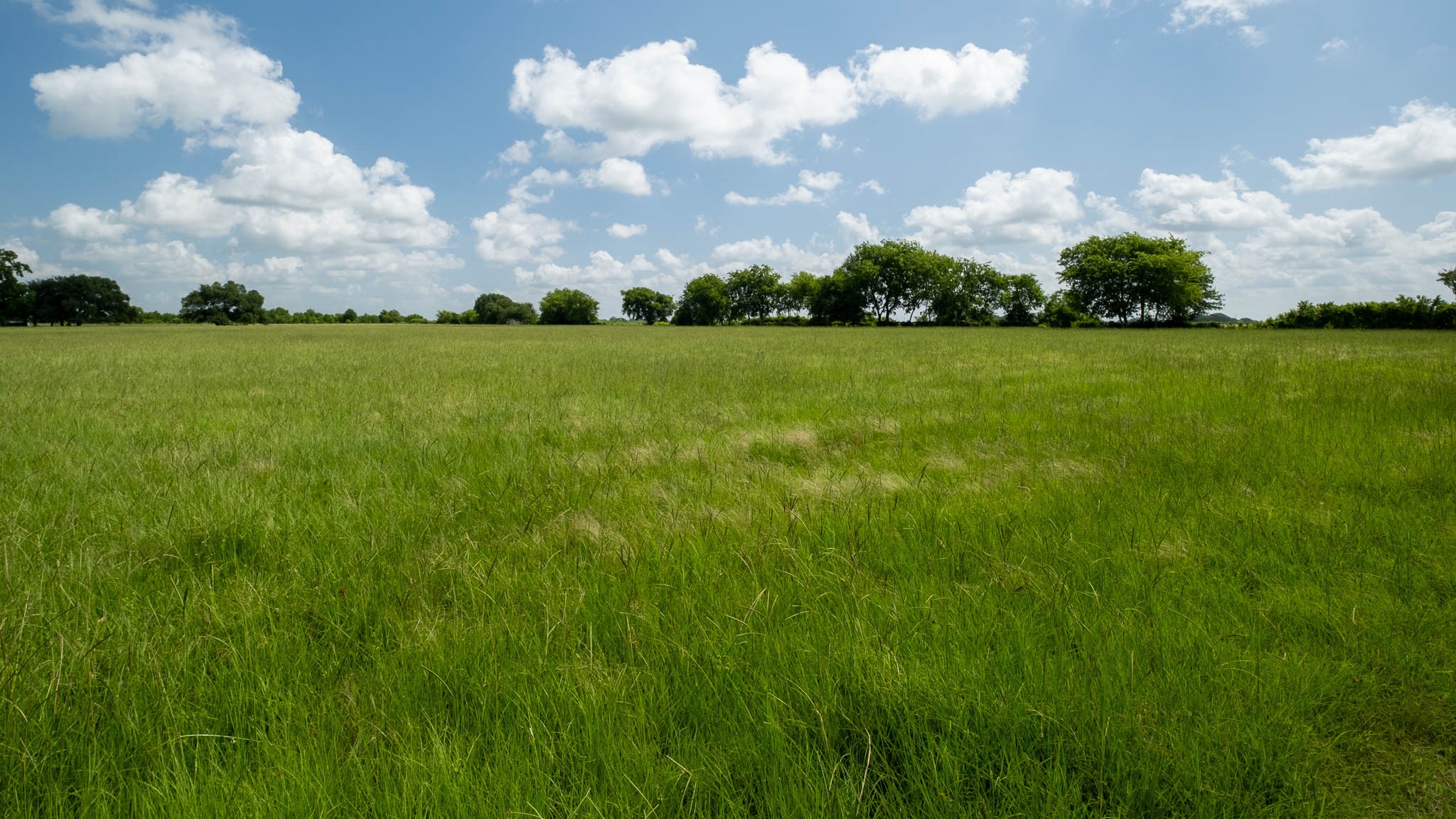 32626 Knebel Road Waller, TX 77484 - Photo 16 of 21