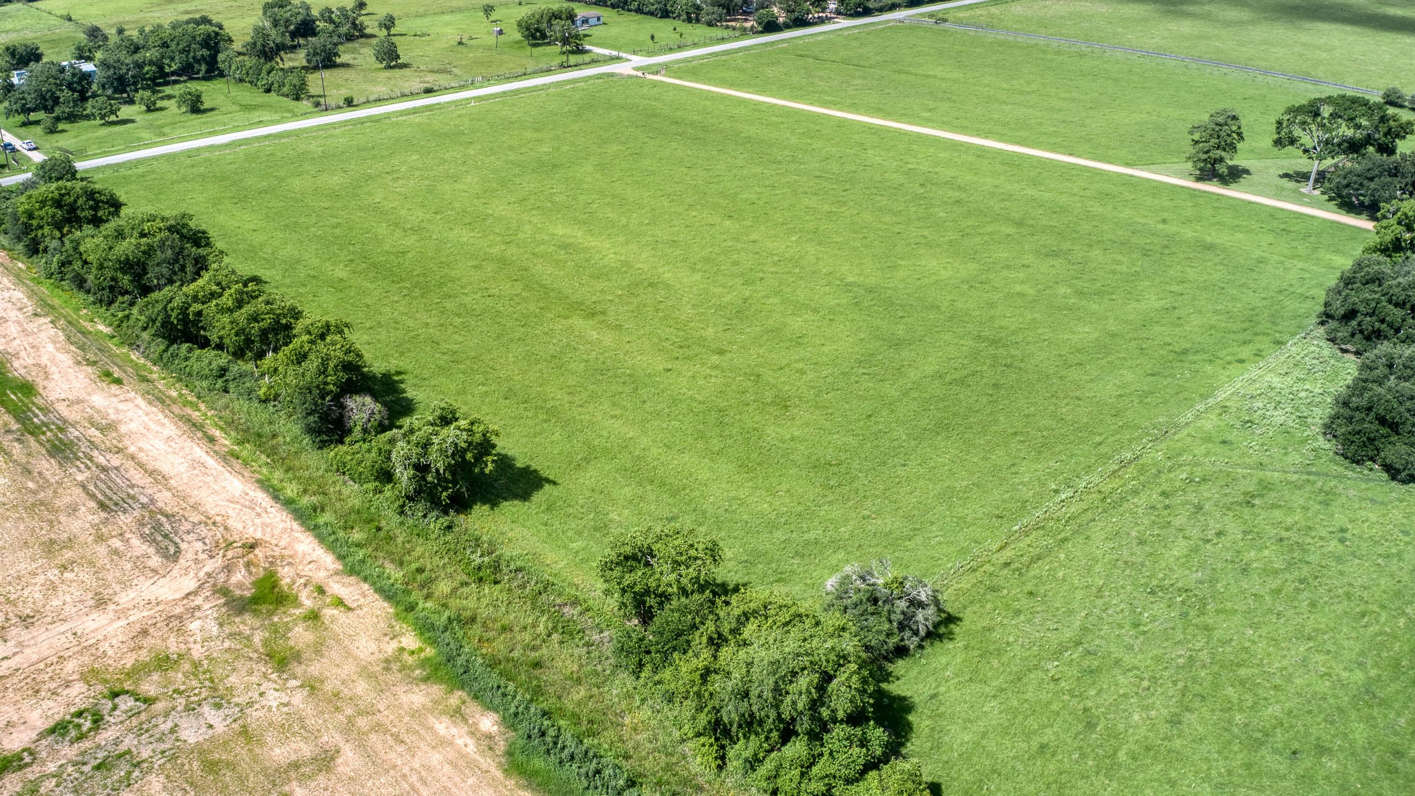 32626 Knebel Road Waller, TX 77484 - Photo 9 of 21 a view of a field with plants and large trees