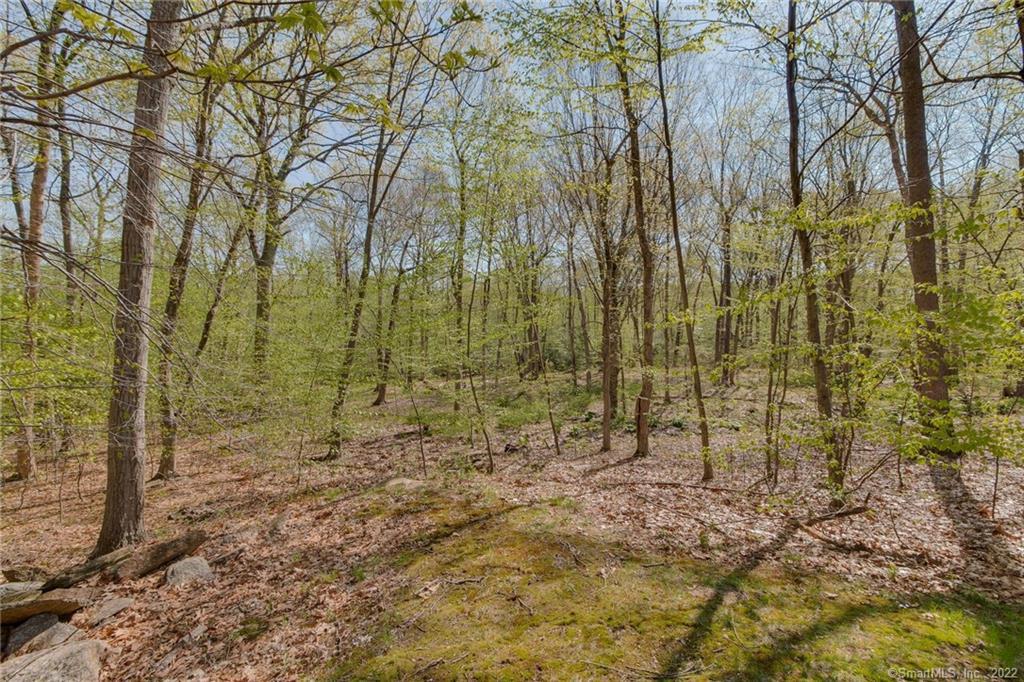 33 Old Country Road Oxford, CT 06478 - Photo 1 of 1