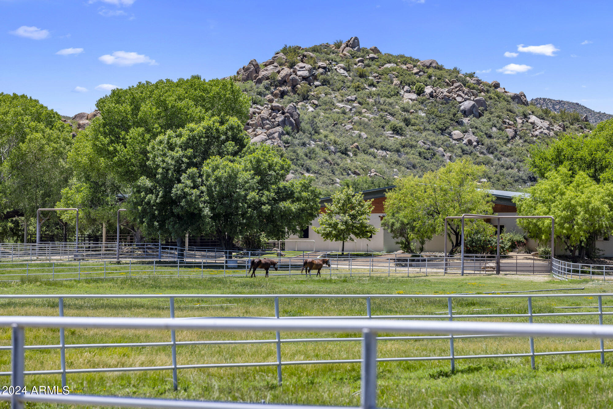 5500 Four Cross Ranch Road Skull Valley, AZ 86338 - Photo 34 of 59 Irrigated grass pastures