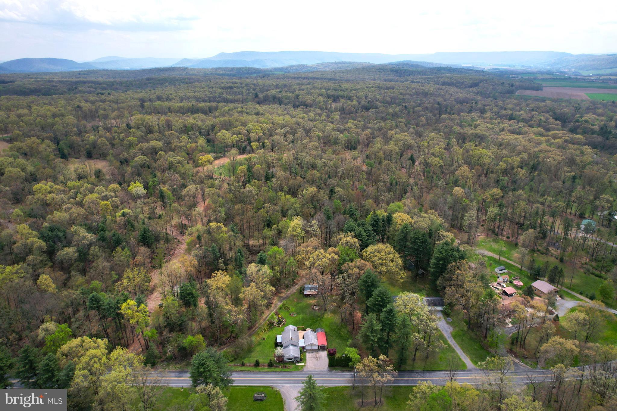 2523 Pennington Road Tyrone, PA 16686 - Photo 4 of 73