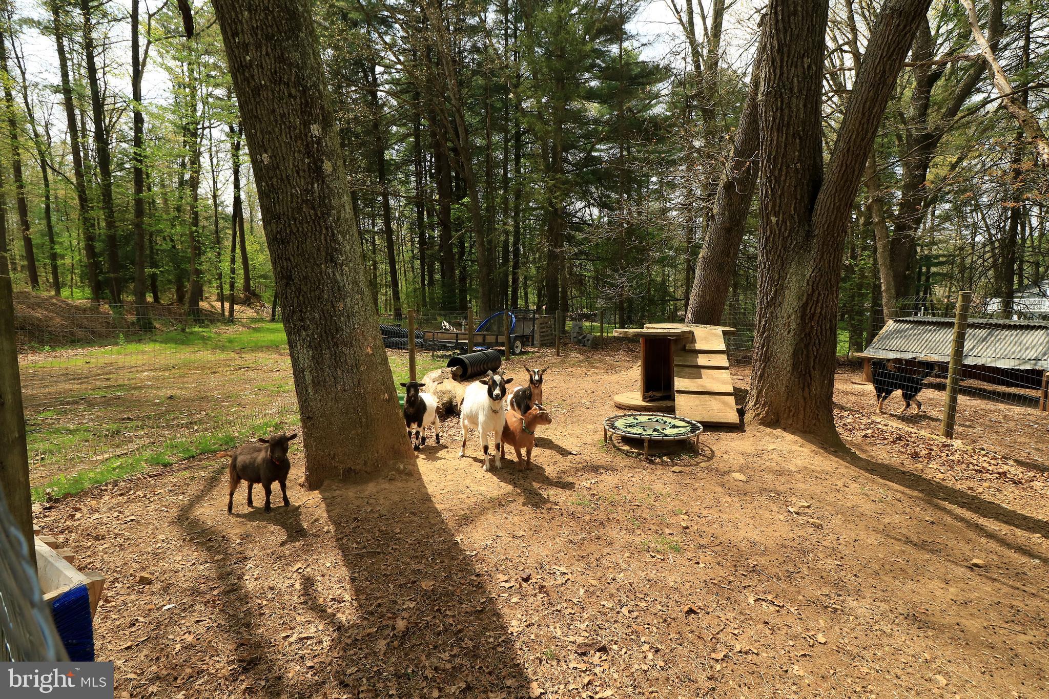 2523 Pennington Road Tyrone, PA 16686 - Photo 63 of 73