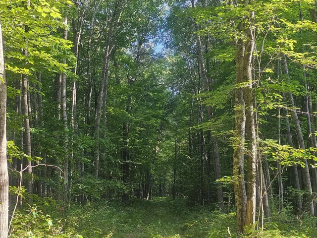 $34,500 | Lot 3 Ken Can Lane, Webster, WI 54893