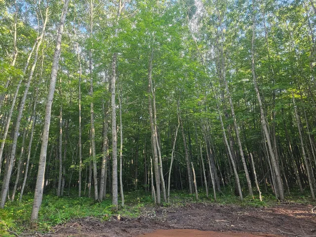 $34,500 | Lot 3 Ken Can Lane, Webster, WI 54893