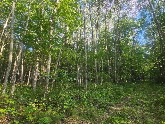 $34,500 | Lot 3 Ken Can Lane, Webster, WI 54893
