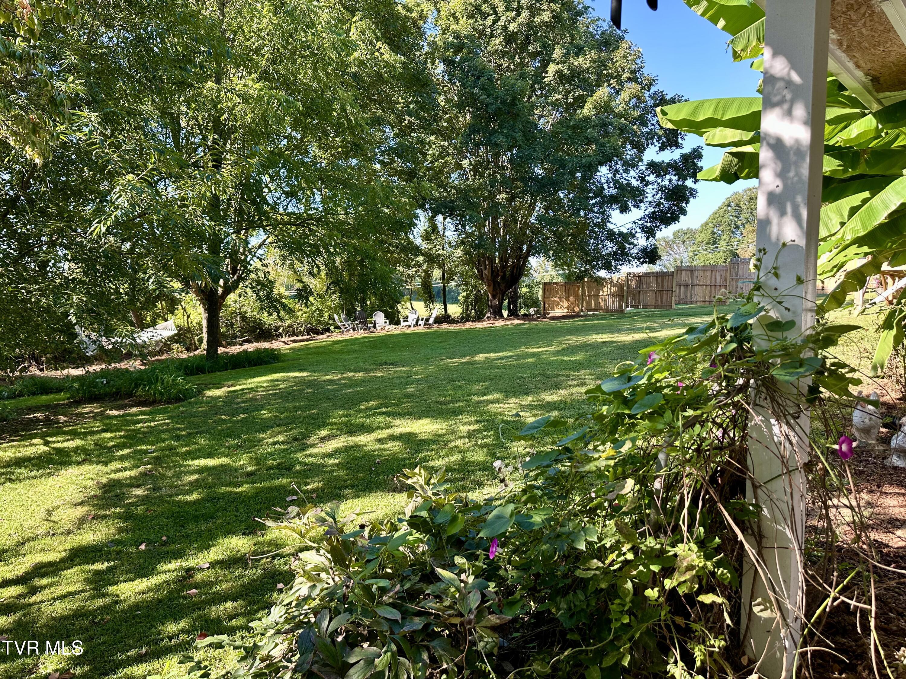 234 Chester Hill Road Bristol, VA 24201 - Photo 12 of 53 IMG_9919